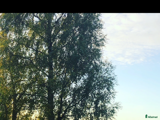 hästar Snäll mysig ponny för pyssel /promenad gärna äldre i Kristianstad - Annons 7