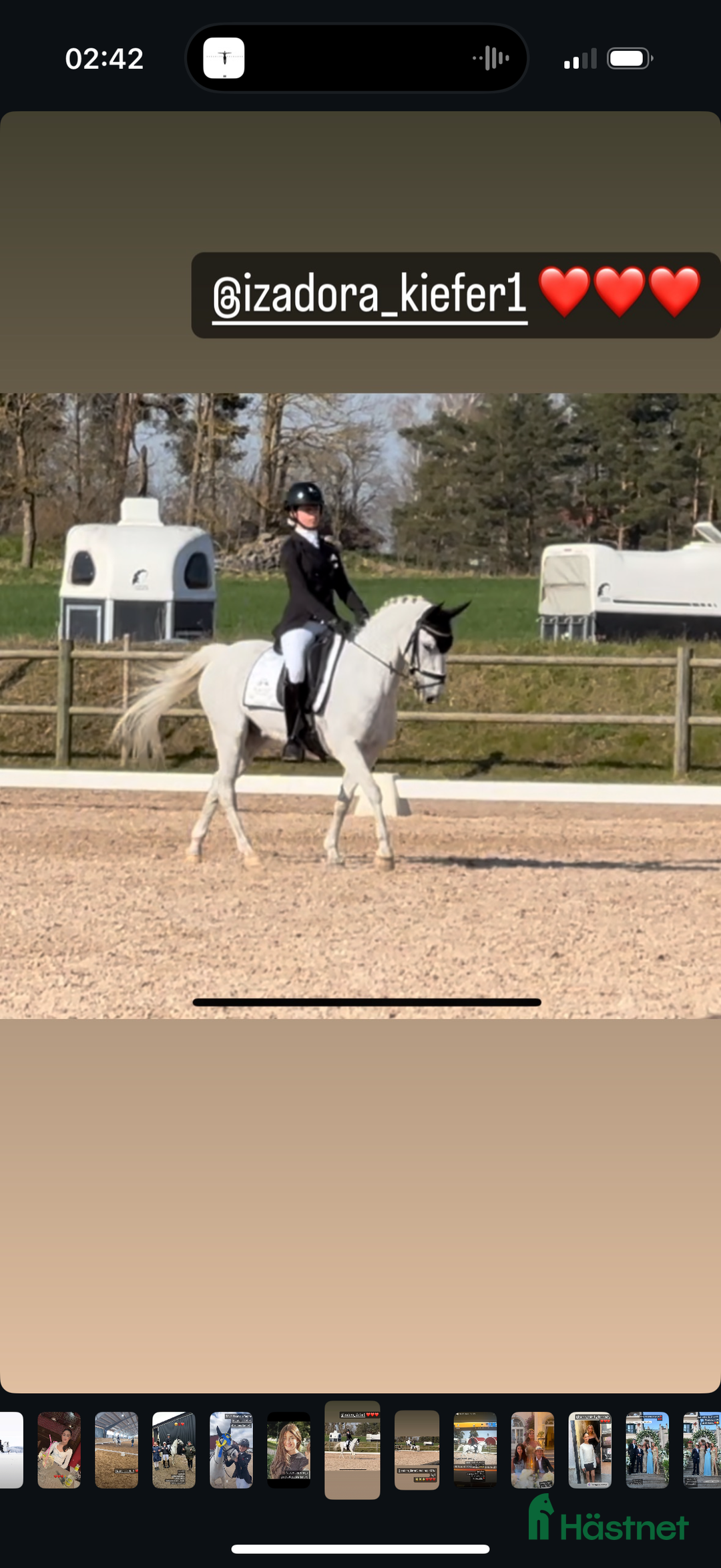 Dressyr hästar till salu: Drömponny för den lilla ryttaren i Norrköping - Annons 6