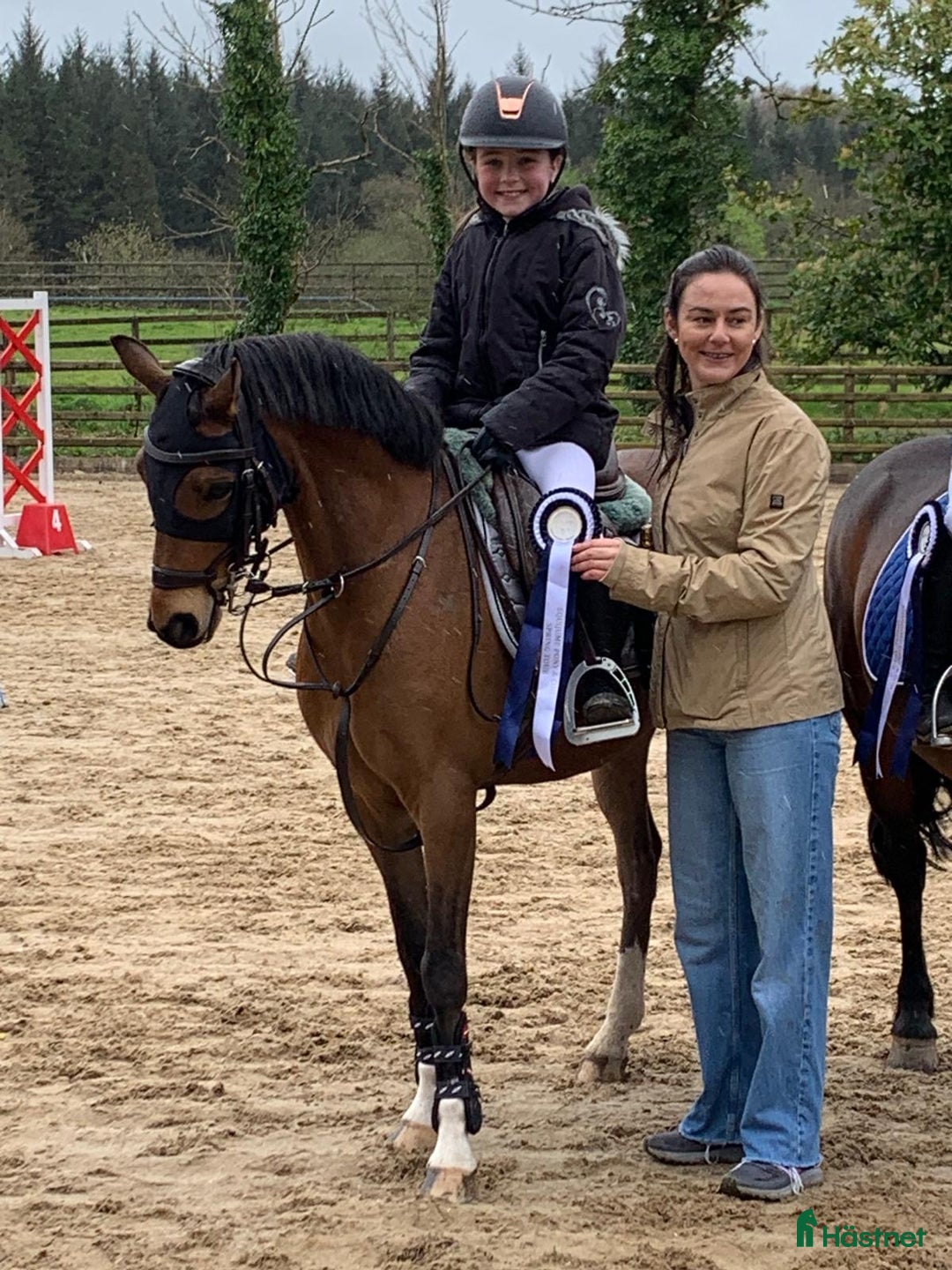 Hoppning hästar till salu: Top 128 pony, record to 1m!!!  i Stockholm - Bild 8