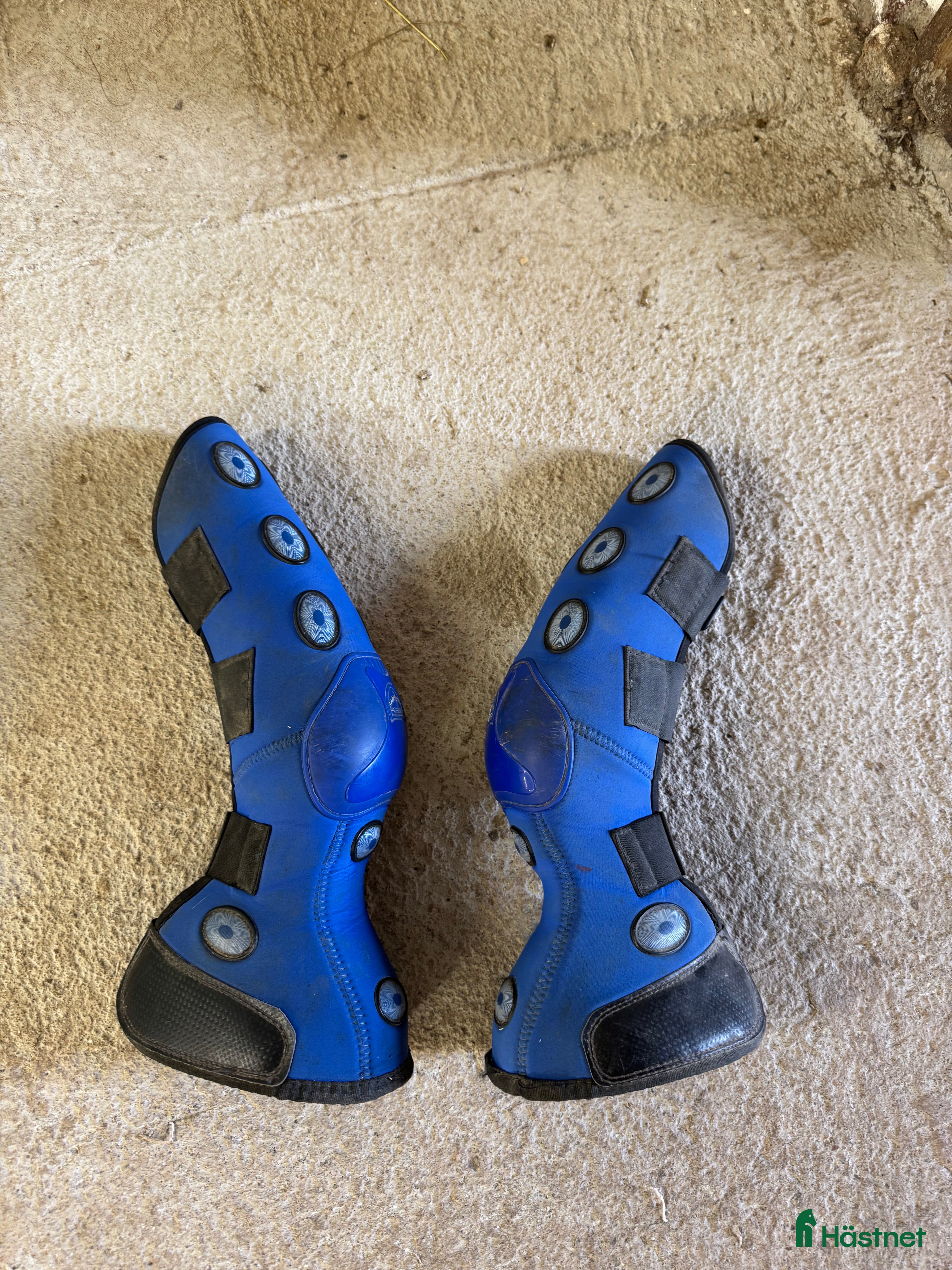 Övrig Hästutrustning hästutrustning till salu: Rensning av hästutrustning  - Annons 4