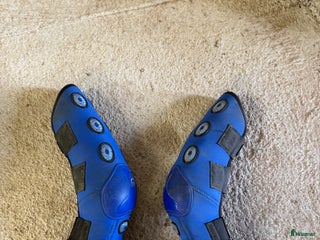 Övrig Hästutrustning hästutrustning till salu: Rensning av hästutrustning - Annons 2