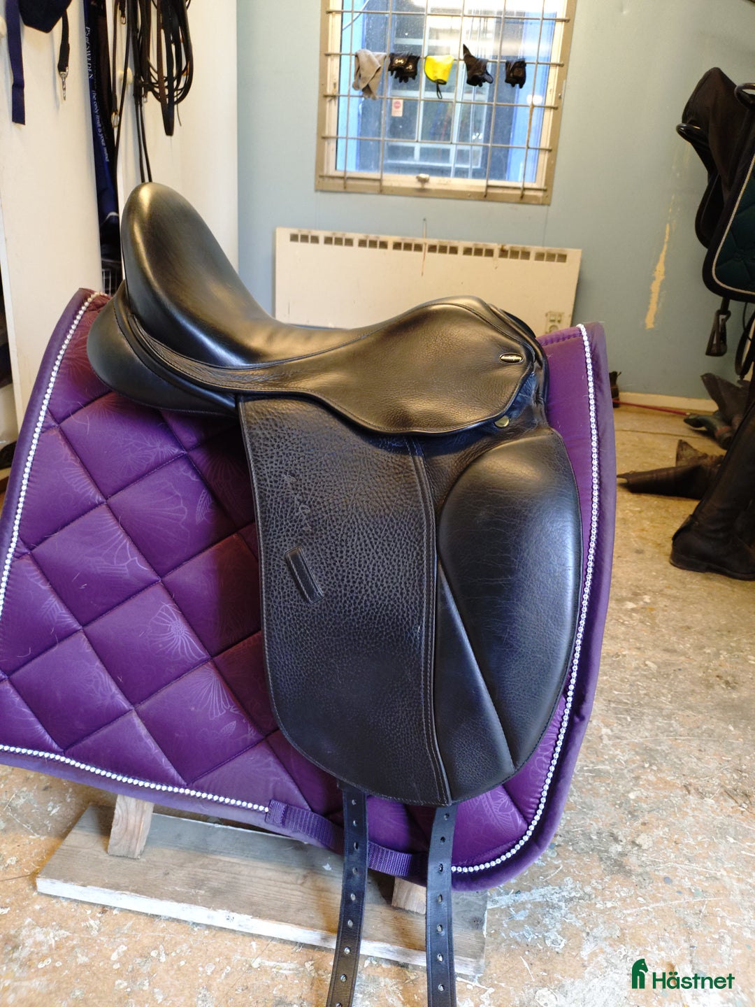 Sadlar hästutrustning till salu: Santa cruz Arthur de lux i toppskick  i Finspång - Annons 2