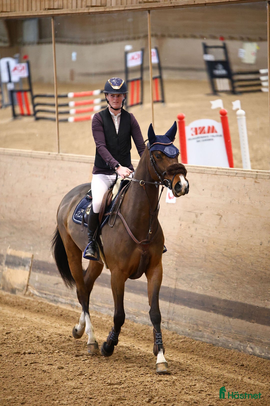 Hoppning hästar till salu: 4år e: Hardrock Z i Åtvidaberg - Annons 5