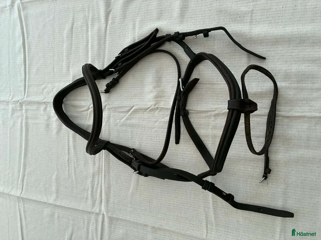 Träns hästutrustning till salu: CWD träns i brunt läder stl full  - Annons 4