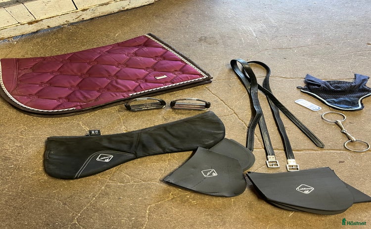 Sadeltillbehör hästutrustning till salu i Läckeby - Annons 19