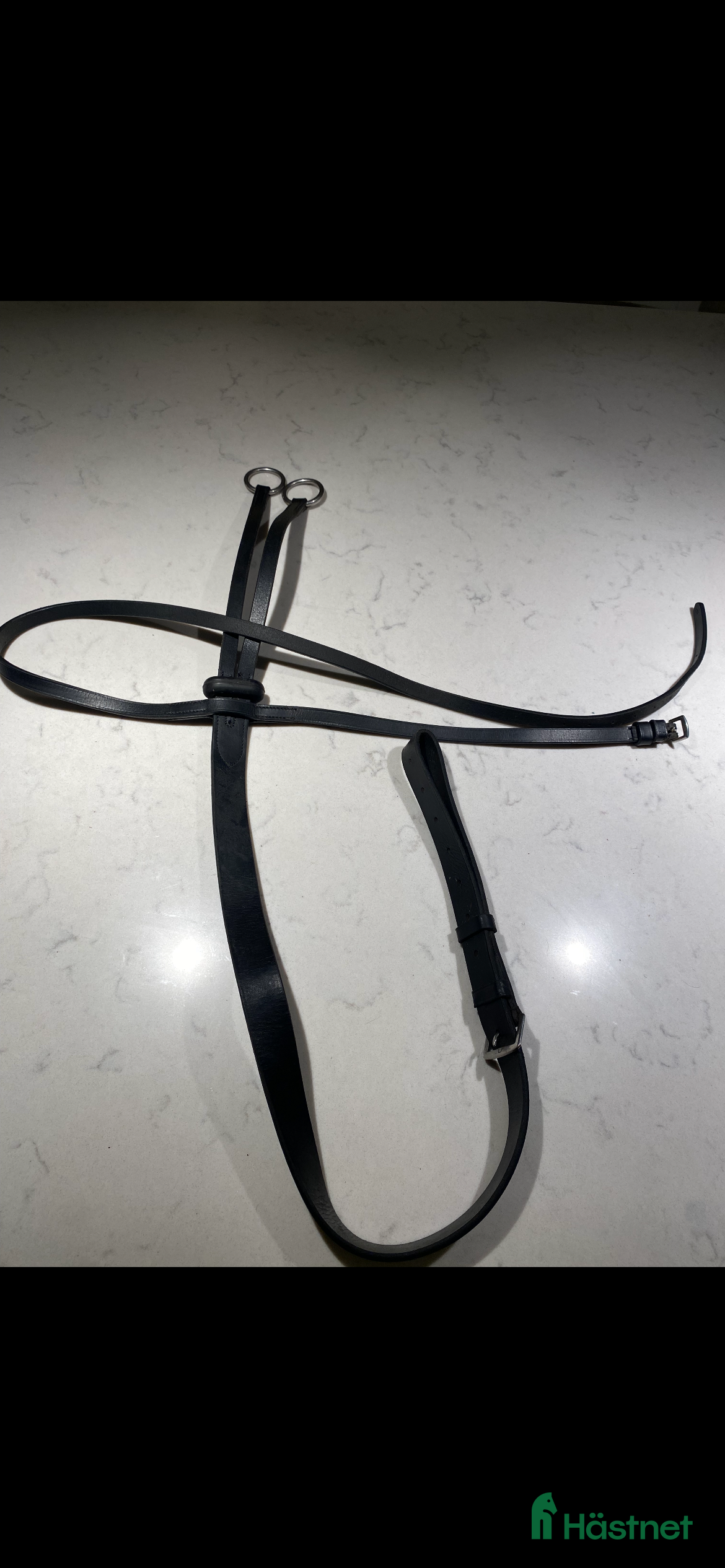 Övrig Hästutrustning hästutrustning till salu: Martingal i Färjestaden - Annons 1