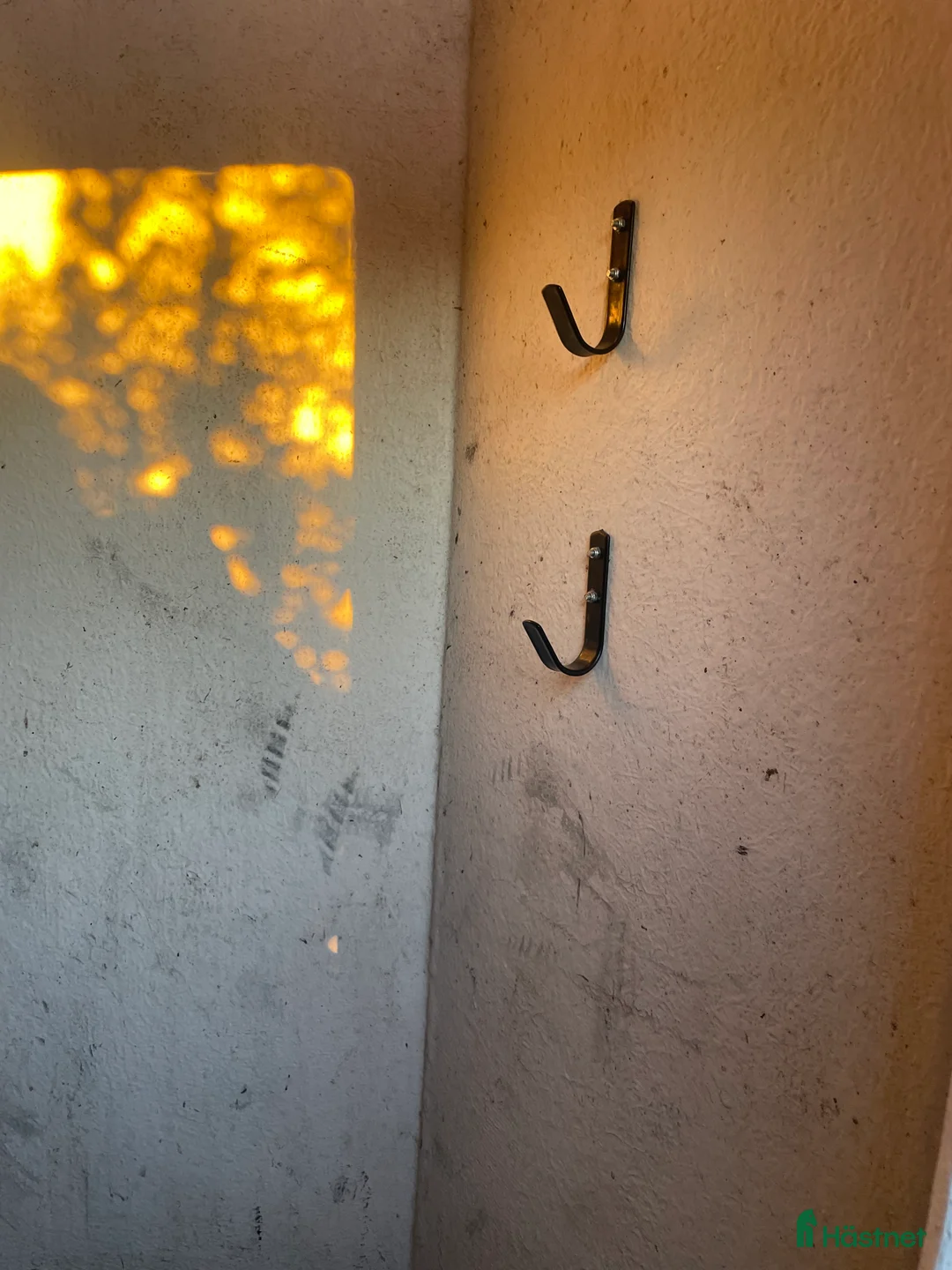 Hästtransporter  fordon & transport till salu: Christ carat  i Eskilstuna - Annons 4