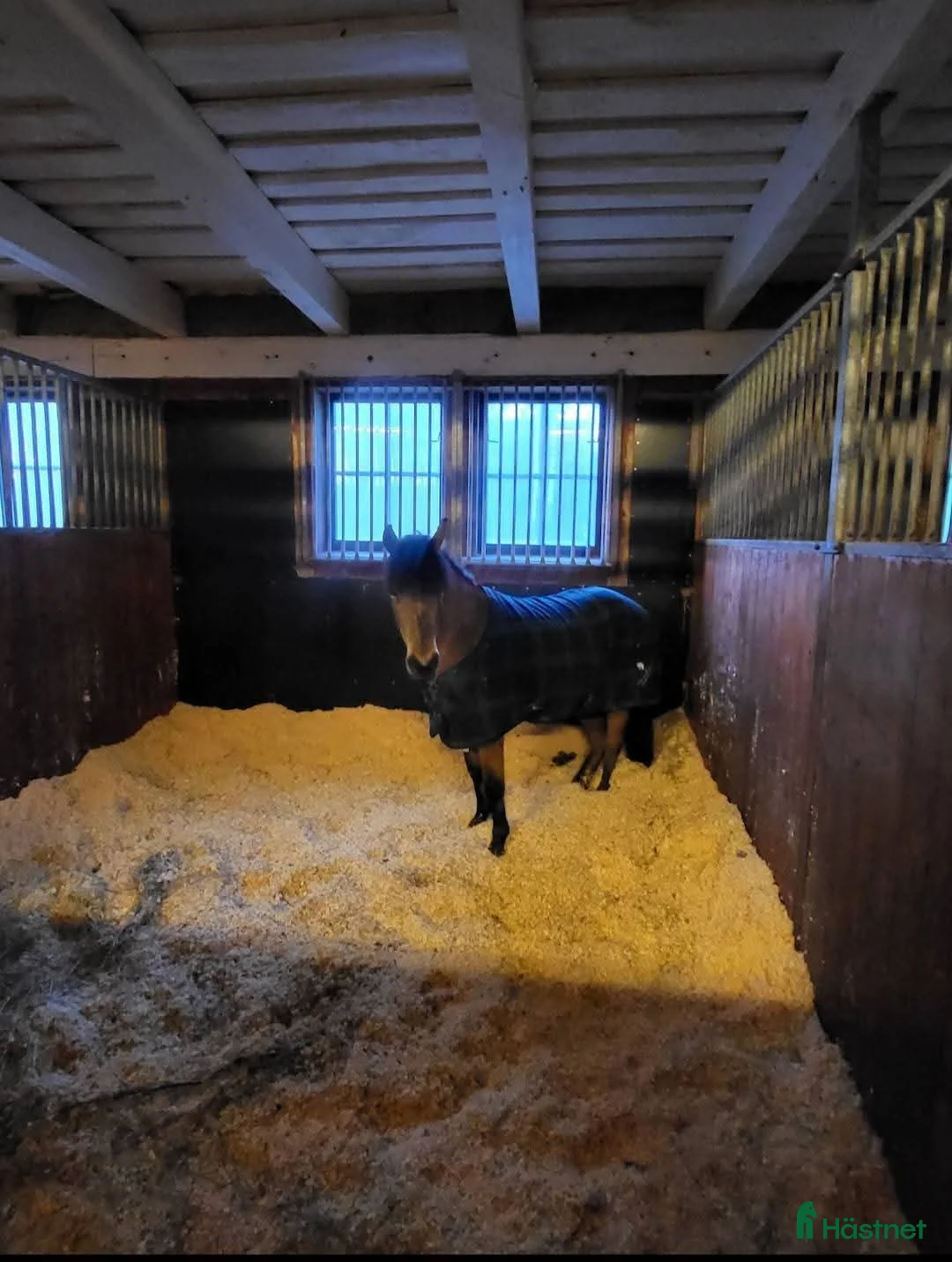  stallplats finnes: Ärla, Eskilstuna: Lösdrift och stallplatser lediga - Annons 3