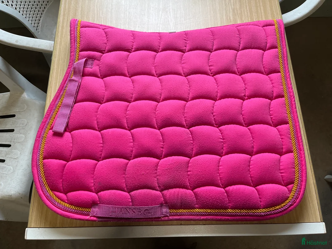 Schabrak & Vojlockar hästutrustning till salu: Hoppschabrak  i Nossebro - Annons 1