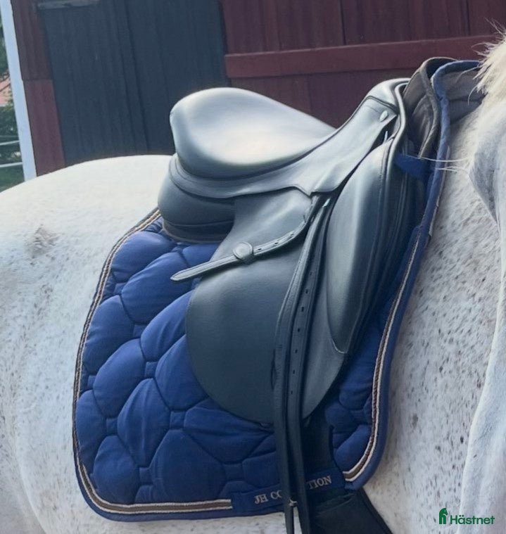 Sadlar hästutrustning Arena hoppsadel - Annons 5