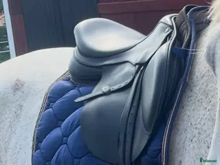 Sadlar hästutrustning Arena hoppsadel - Annons 5