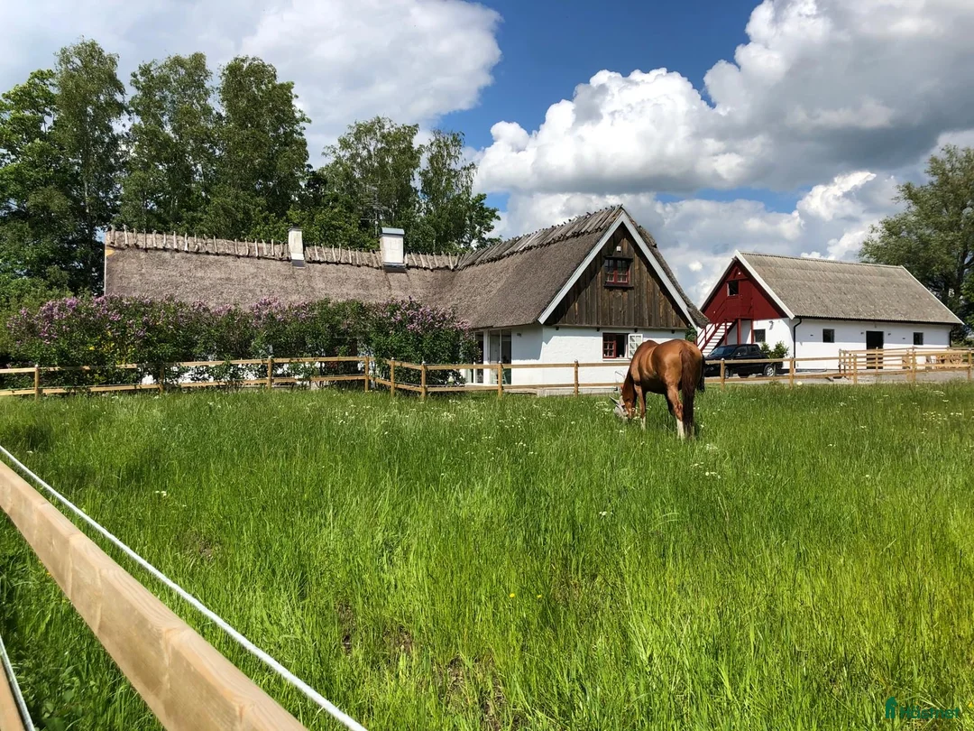 stallplats finnes: Stallplats utanför Lund i Lund - Annons 4