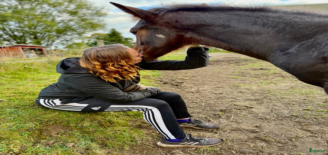 Galleribild {{count}}