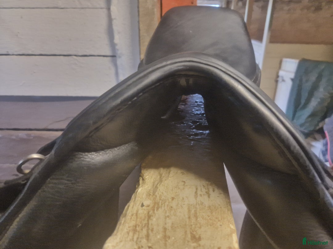 Sadlar hästutrustning till salu: Trevlig hoppsadel till en mindre ryttere i Hjärnarp - Annons 7