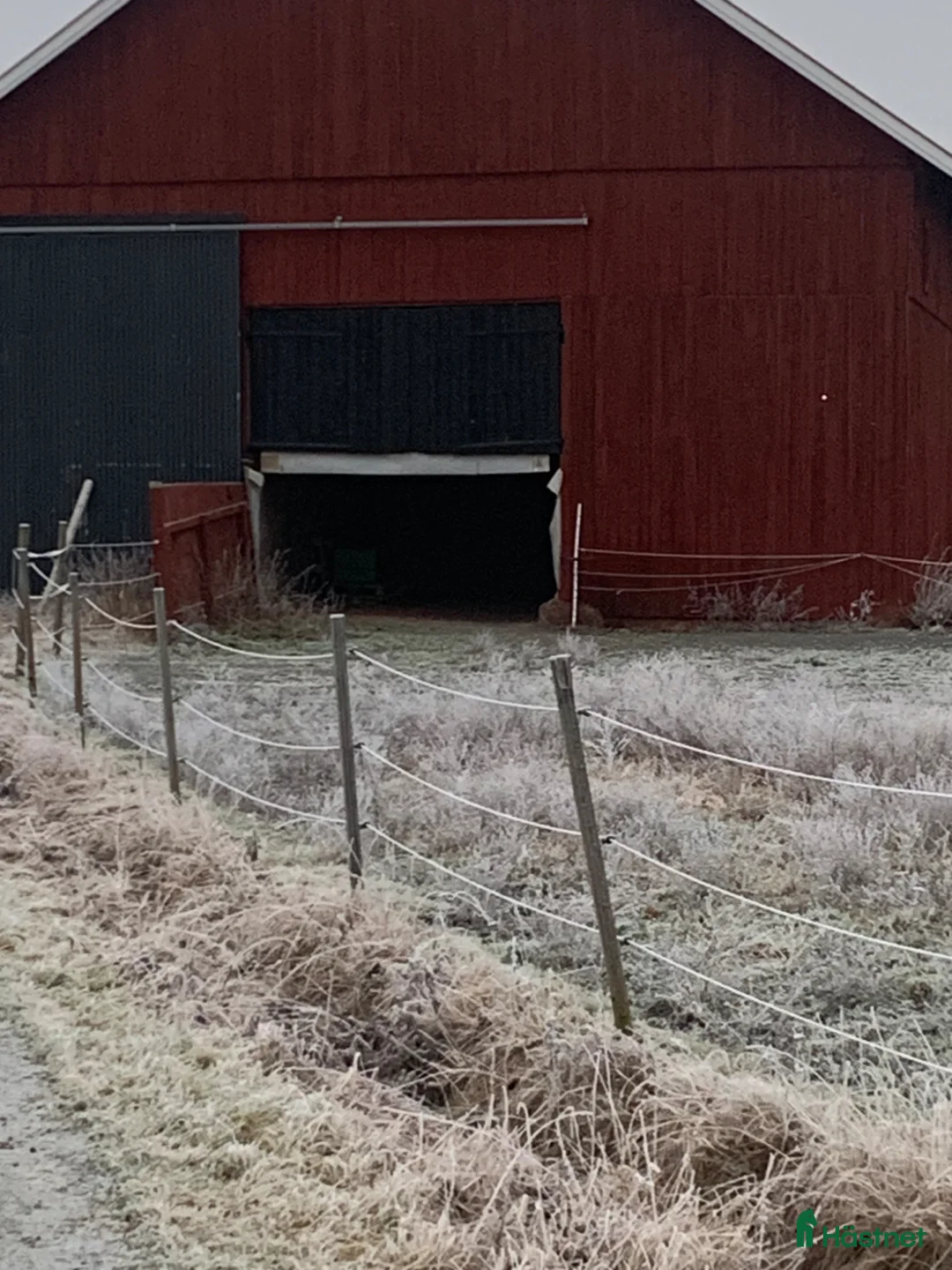  stallplats finnes: Sommar bete med lösdrift till ston! - Annons 5