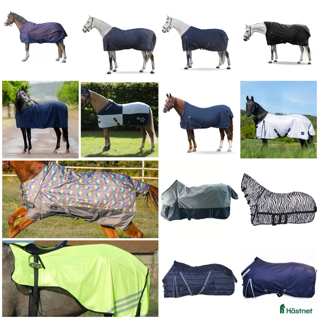 Täcken hästutrustning till salu: Mega paket 43st NYA hästtäcken! - Annons 1