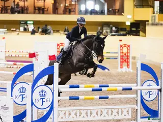 hästar Kvick snabb häst - Annons 18