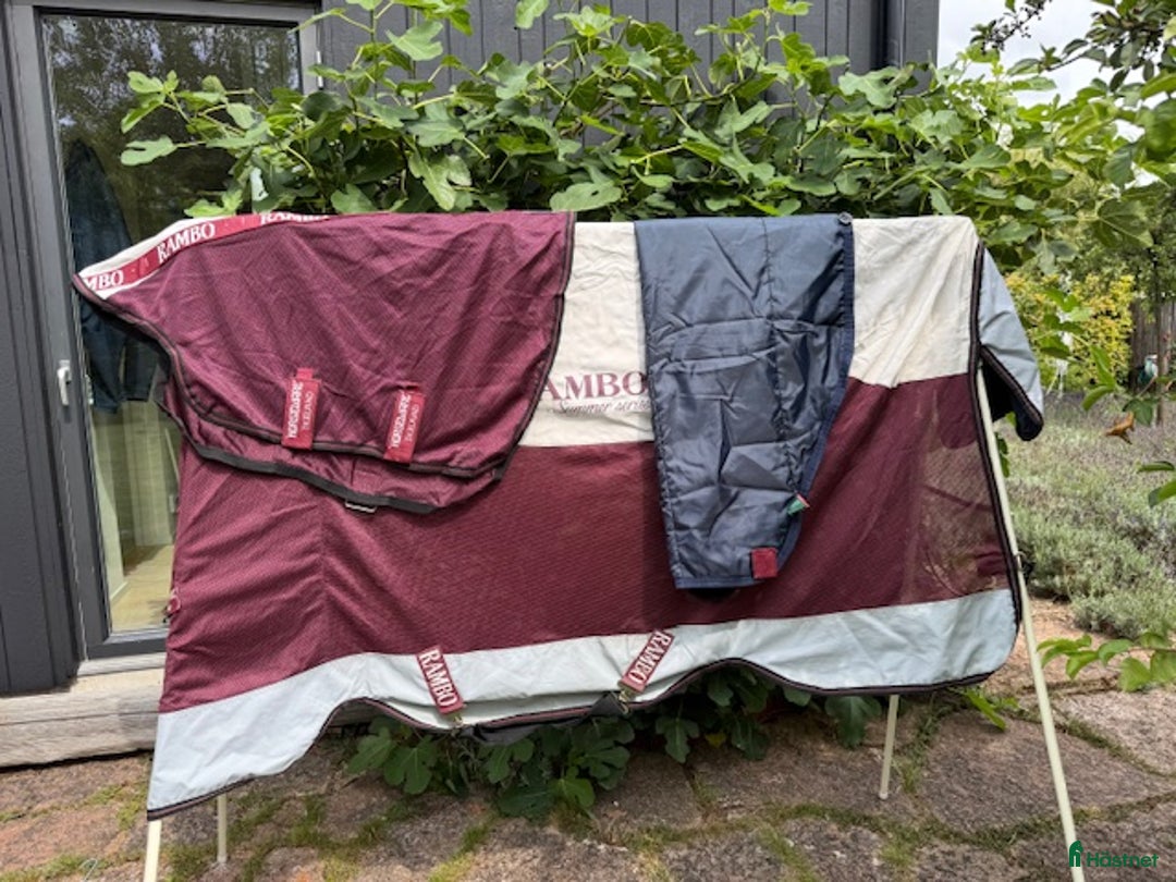 Täcken hästutrustning till salu: Rambo Summer Series stl 145 i Falsterbo - Annons 6