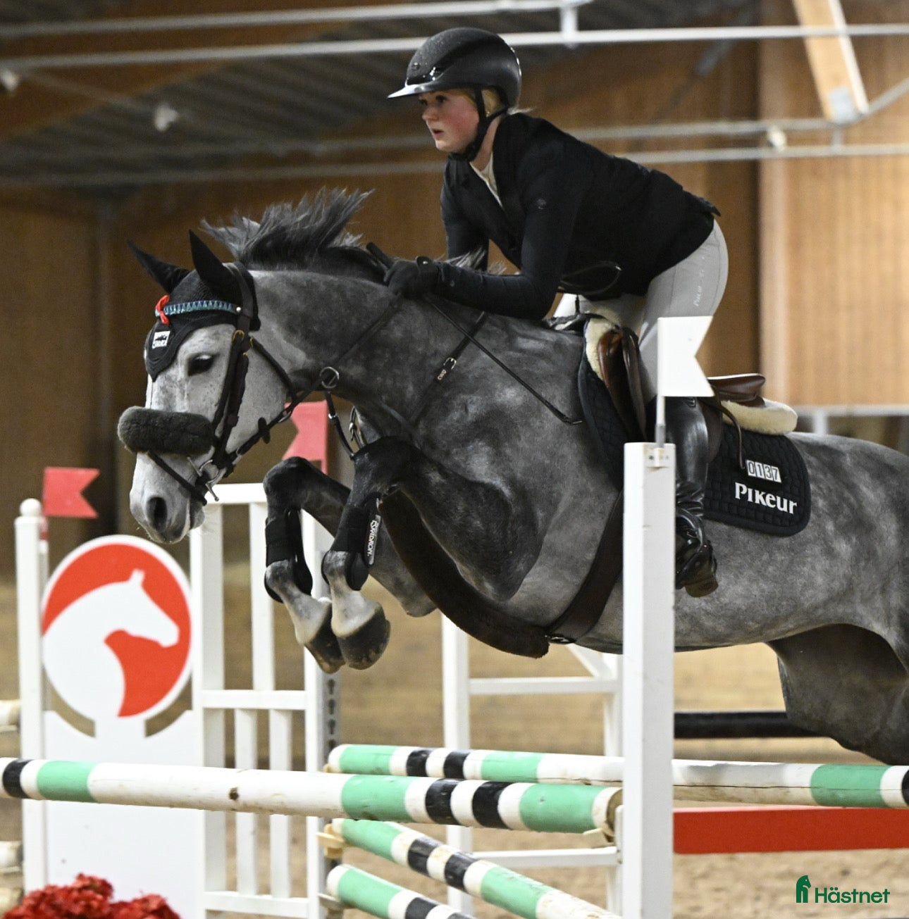  hästar Kvalitetssto - Annons 10