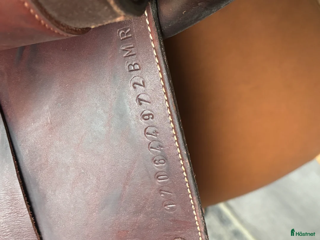 Sadlar hästutrustning till salu: Erreplus CA 2017 - Annons 5