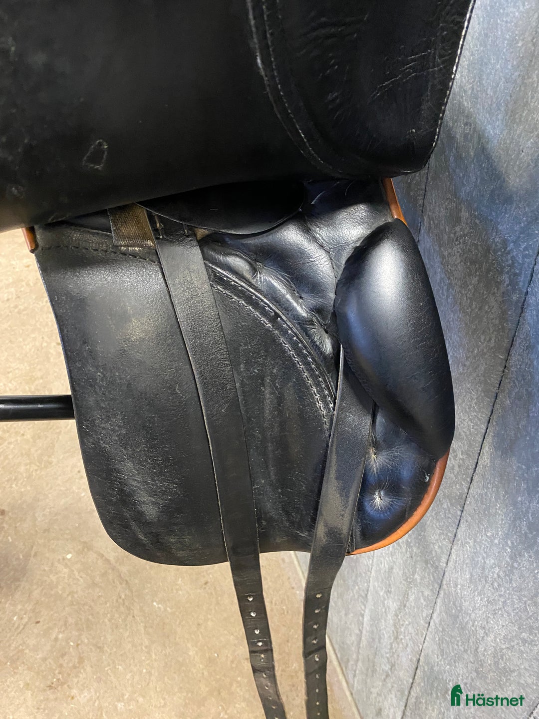 Sadlar hästutrustning till salu: Passier Young Champ i Åhus - Annons 5