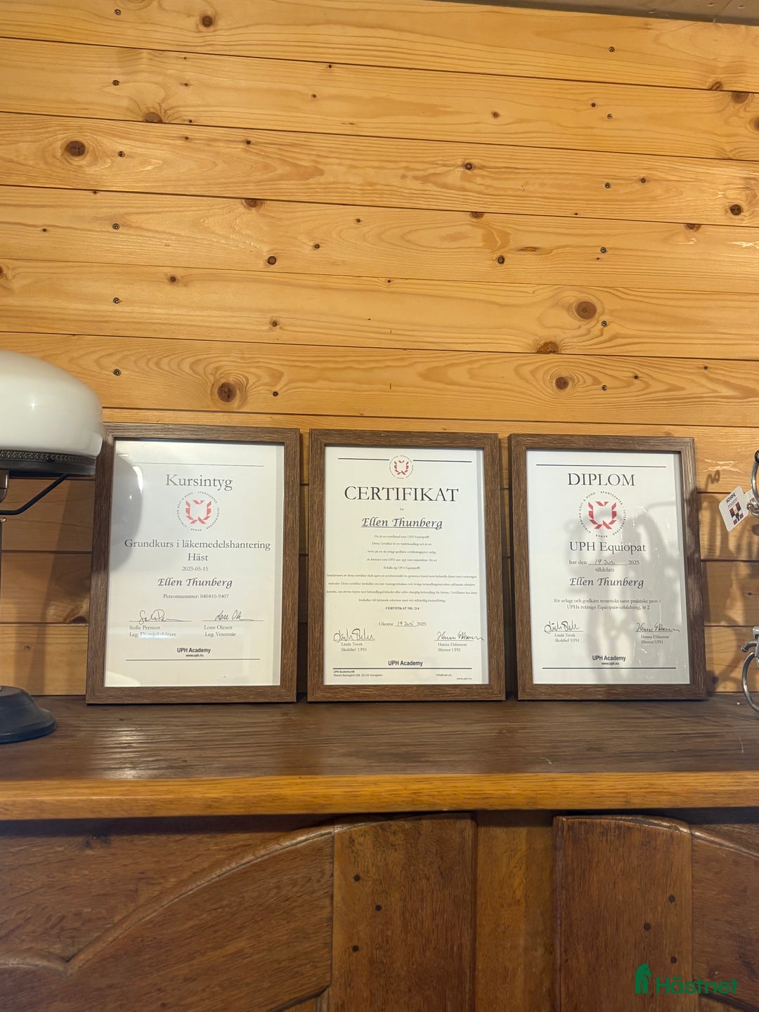  hästservice finnes: Ge din häst den bästa julklappen🎅🏼 i Kristdala - Annons 3