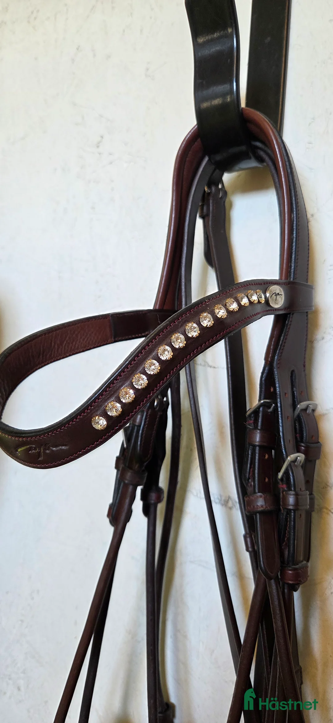 Träns hästutrustning till salu: Dyon kandar brun nytt!  - Annons 4