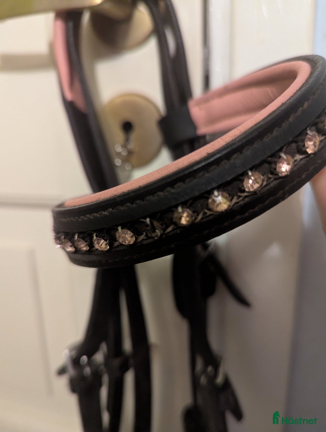 Träns hästutrustning till salu: Rosa träns i Ås - Annons 4