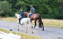  stallplats finnes: 🌺Aspvik 🐎 i Kungsängen - Annons 1