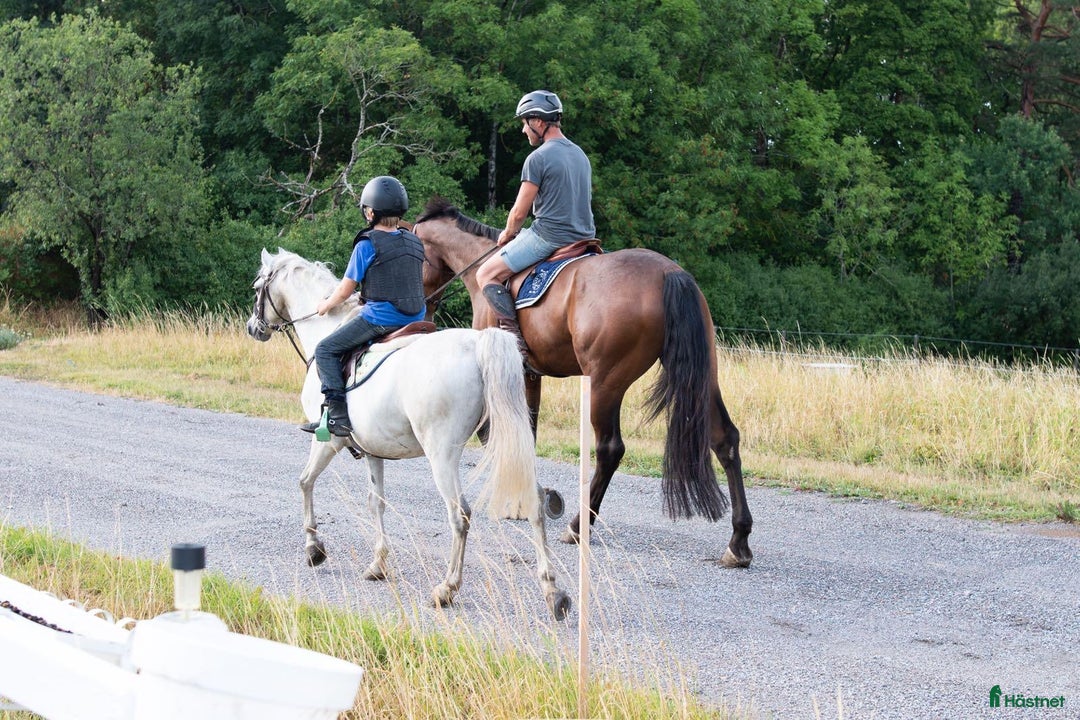  stallplats finnes: 🌺Aspvik 🐎 i Kungsängen - Annons 1