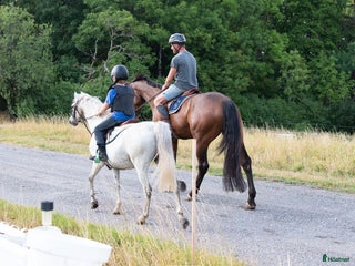 stallplats finnes: 🌺Aspvik 🐎 i Kungsängen - Annons 1