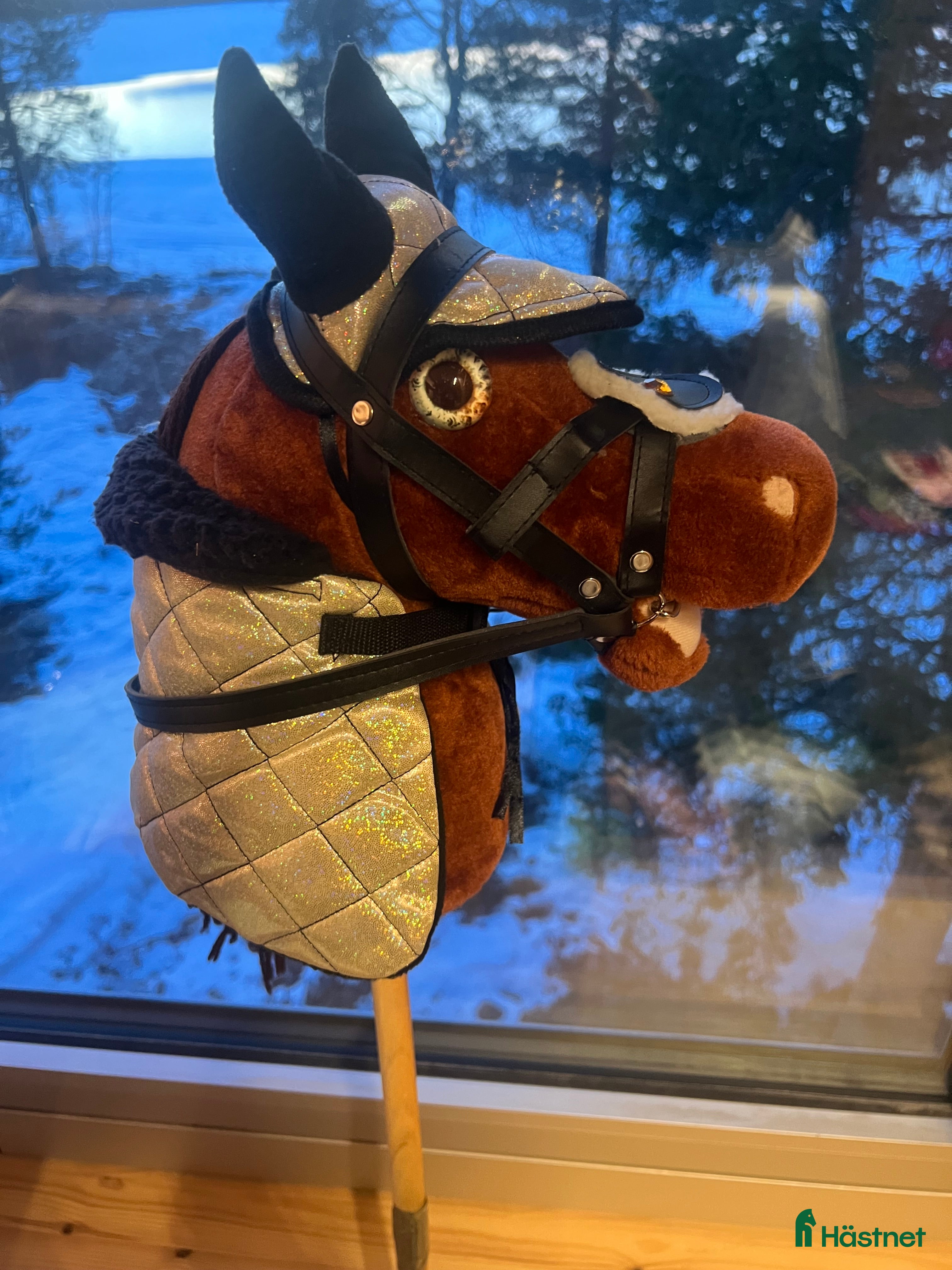 Övrig utrustning övrig utrustning till salu: Panduro käpphäst till salu🤎 i Kiruna - Annons 5