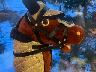 Övrig utrustning övrig utrustning till salu: Panduro käpphäst till salu🤎 i Kiruna - Annons 3