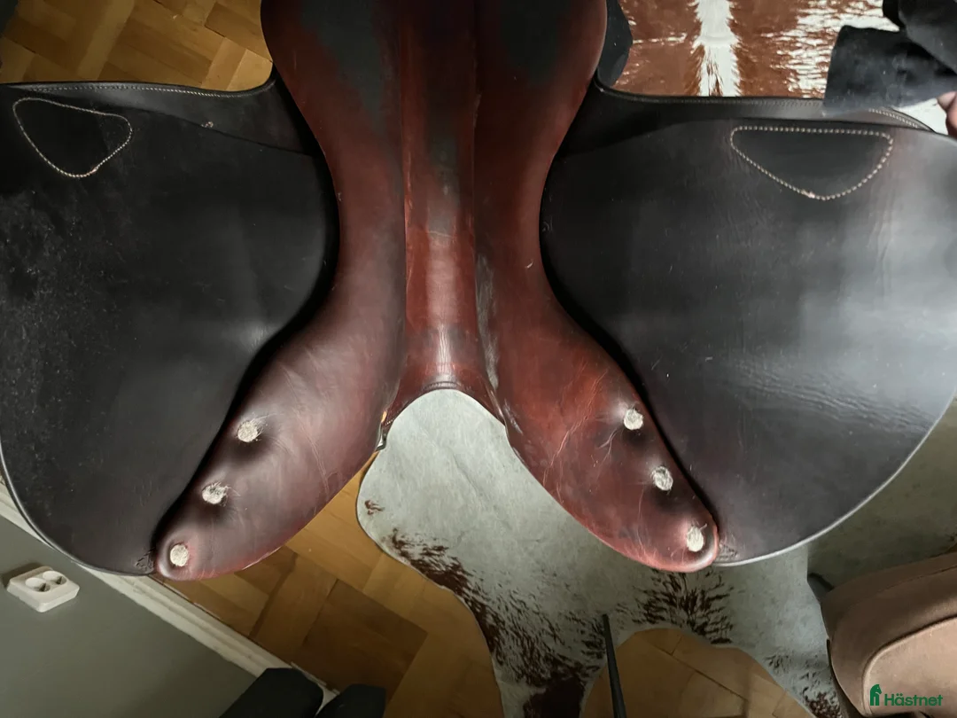 Sadlar hästutrustning till salu: Exclusive hoppsadel I premium klass i Kinnahult - Annons 4