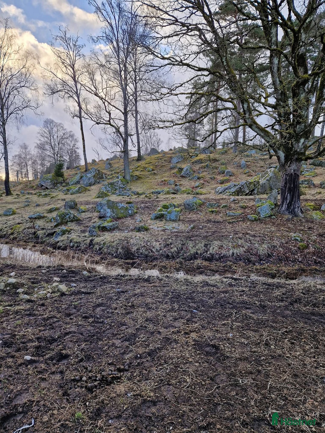  stallplats finnes: Stallplats Hillared/Dannike i Hillared - Annons 6