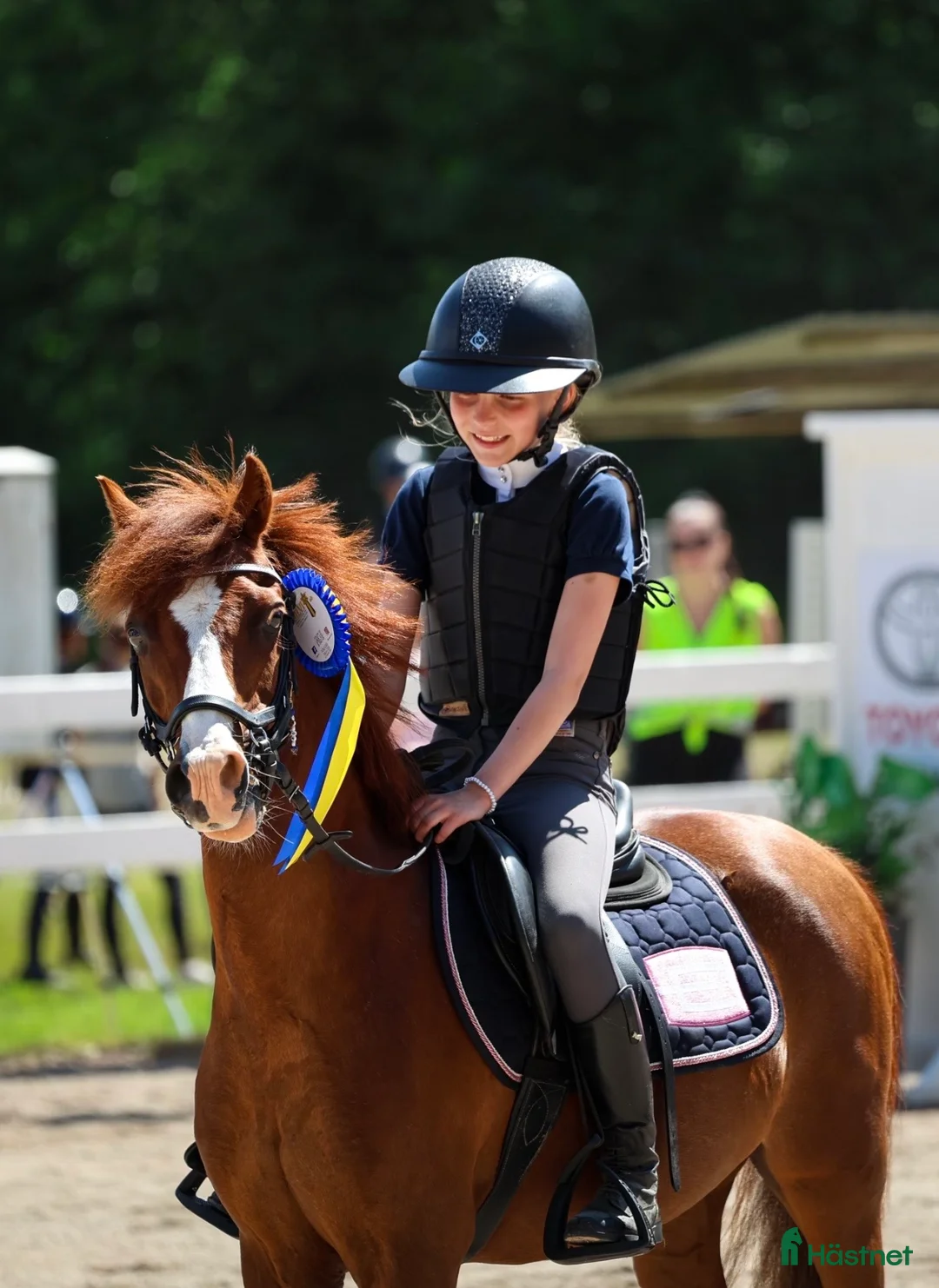 Allround hästar till salu: 🌟 Fantastisk B-ponny söker nytt hem 🌟 - Annons 2