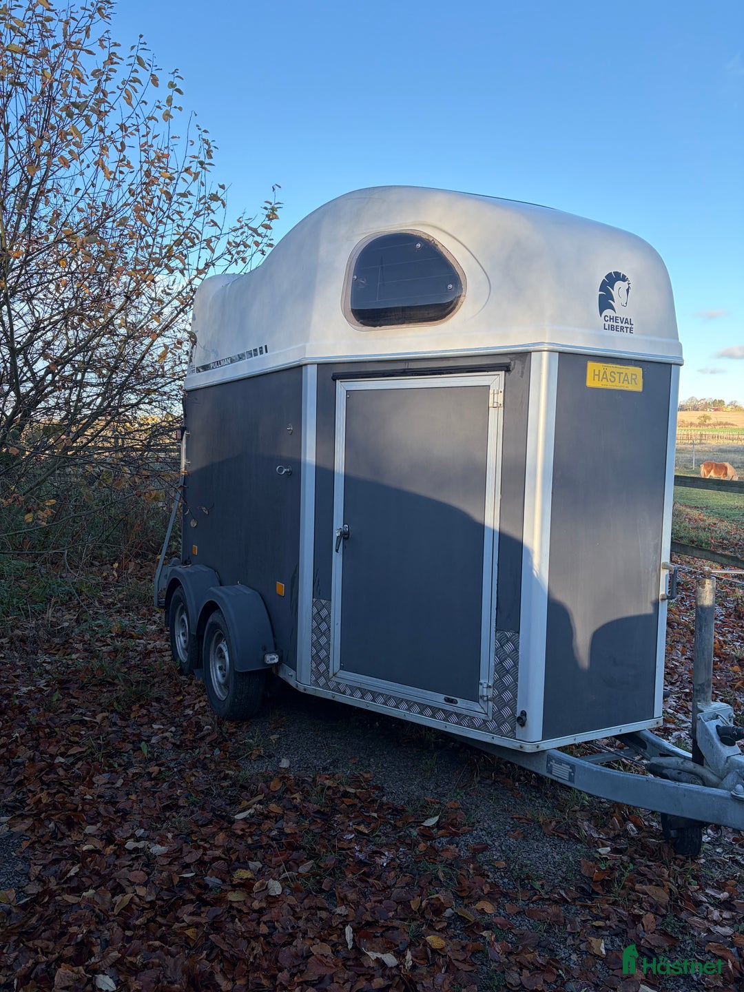 Hästtransporter  fordon & transport till salu: Cheval Liberte Gold Pullman V2 i Allerum - Annons 1