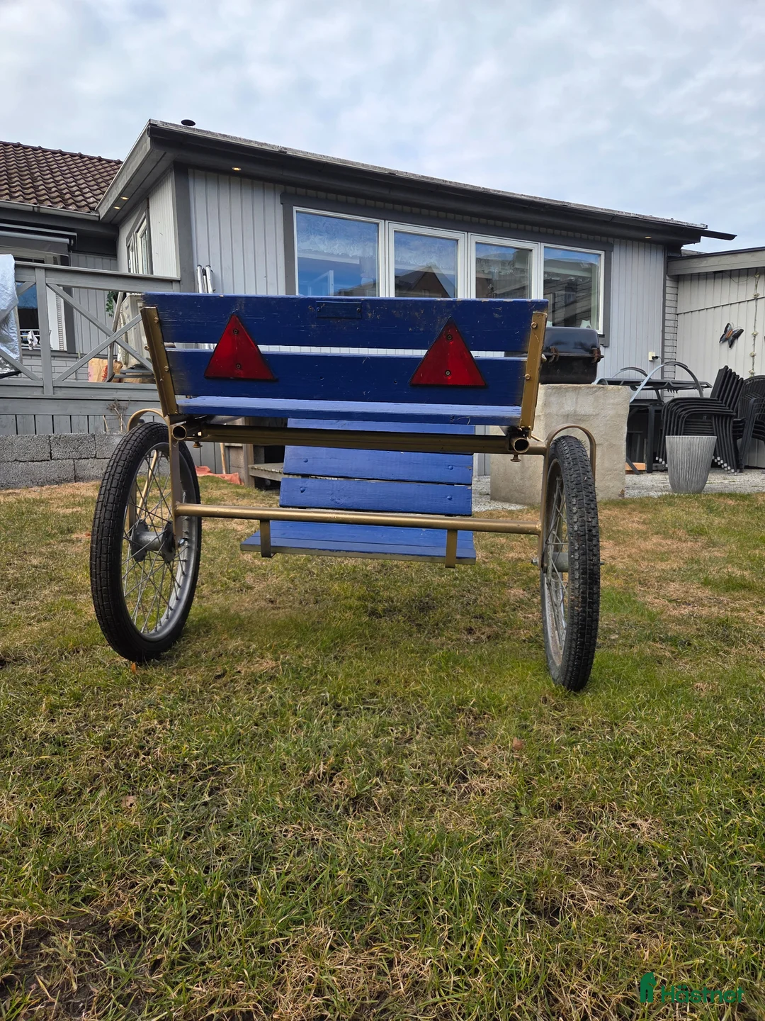 Travvagnar trav till salu: Ponny Rockard i Örebro - Annons 2