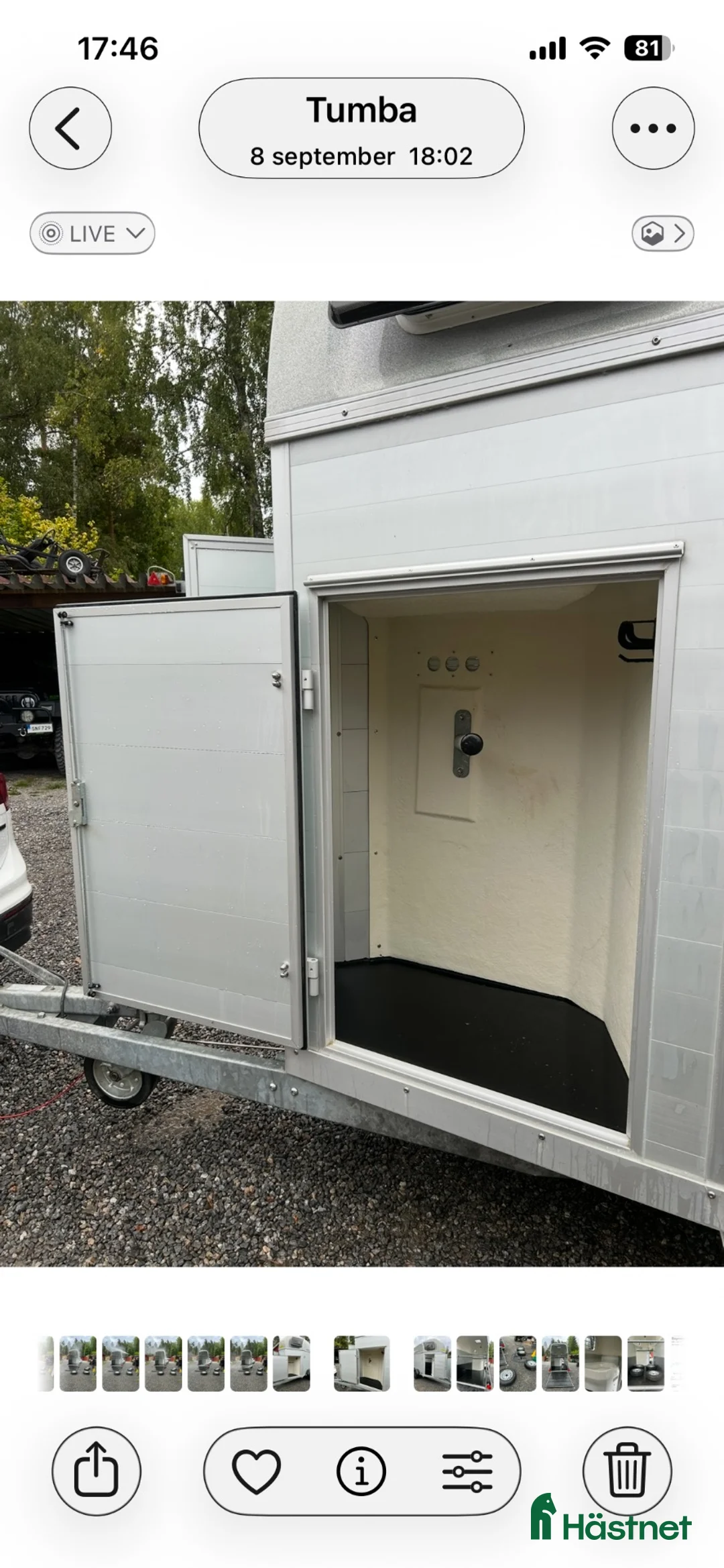 Hästtransporter  fordon & transport till salu: Blomert Singapore 1,5 hästars släp-2020-nyskick - Annons 2