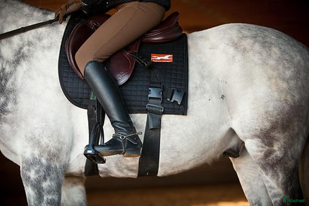 Övrig utrustning övrig utrustning till salu: Equiband Pro system i Krylbo - Annons 1