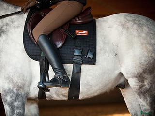 Övrig utrustning övrig utrustning till salu: Equiband Pro system i Krylbo - Annons 3