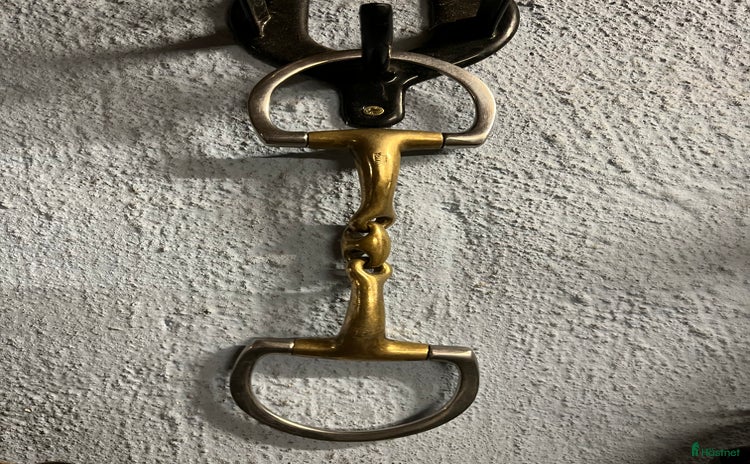 Bett hästutrustning till salu i Saxtorp - Annons 11