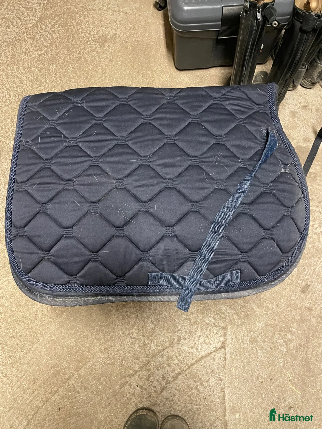 Schabrak & Vojlockar hästutrustning till salu: John Whitaker  - Annons 2