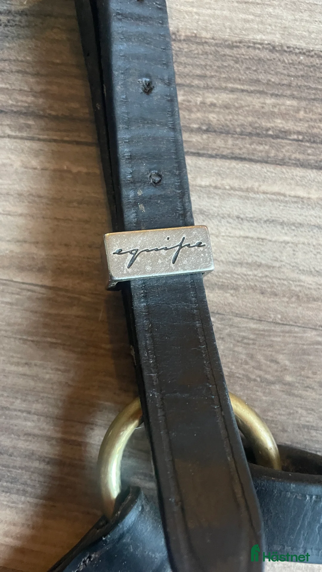 Sadeltillbehör hästutrustning till salu: Equipe martingall/förbygel  i Huddinge - Annons 5