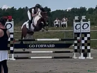 hästar Super C-ponni lånes ut til satsende sprangrytter! - Annons 2