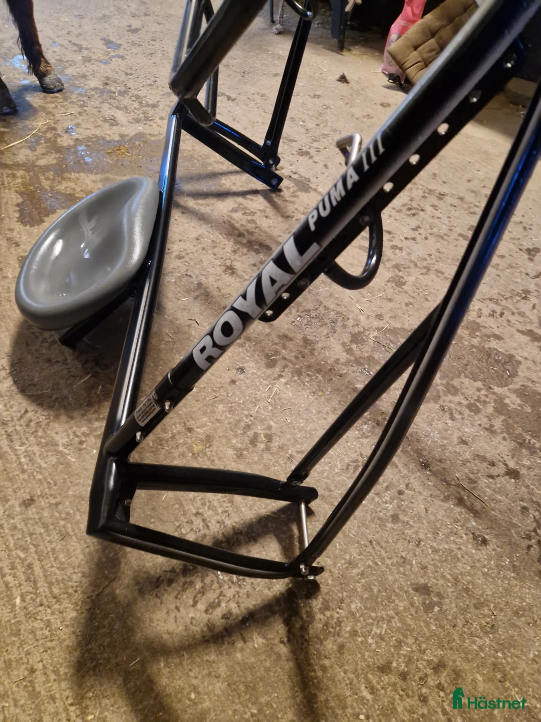 Travsulkys trav till salu: Ponnysulk till Shettis i Karlstad - Annons 2