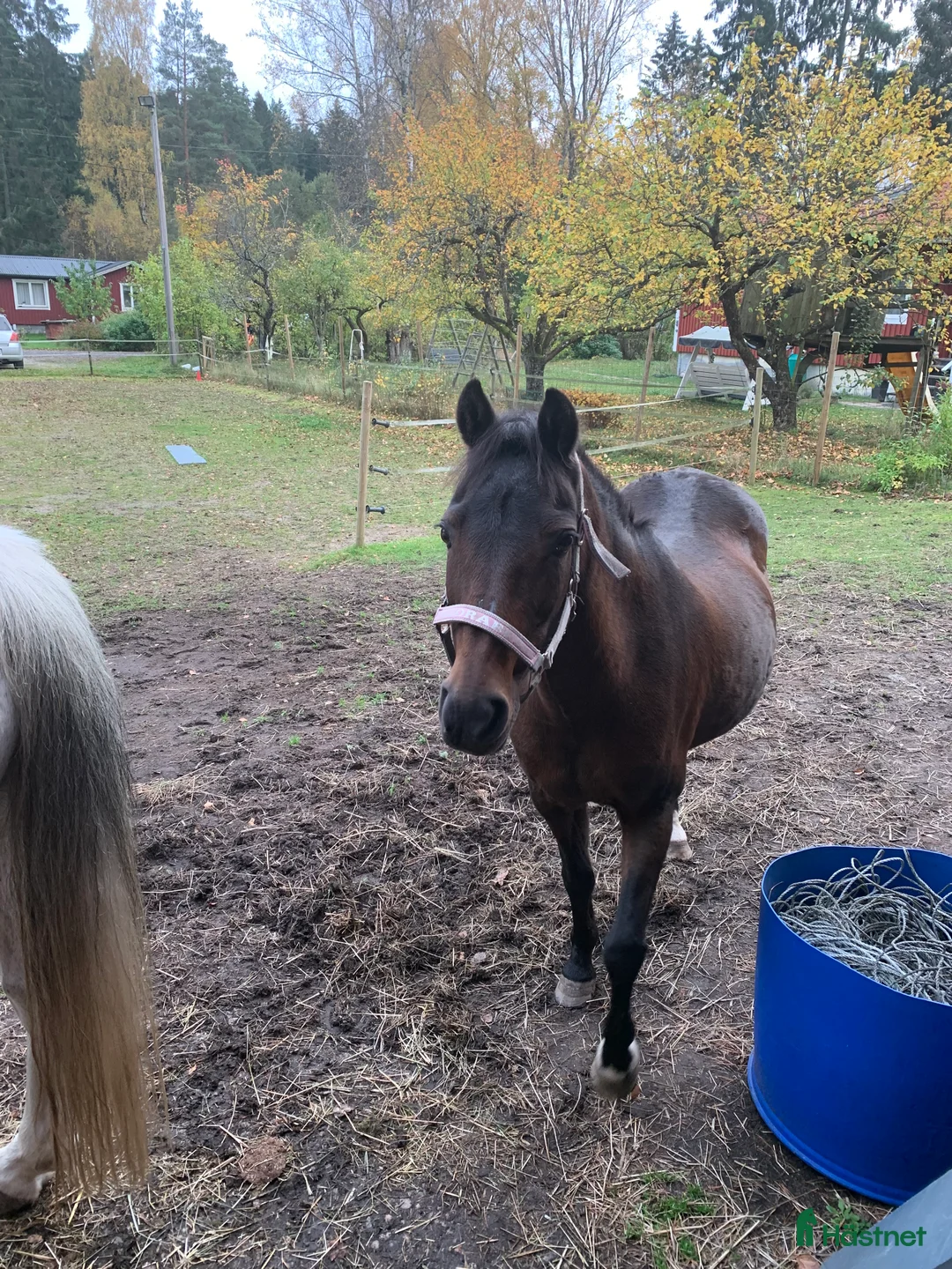 Galleribild {{count}}