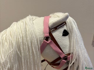 Övrig utrustning övrig utrustning till salu: Käpphästar i Djursholm - Annons 4