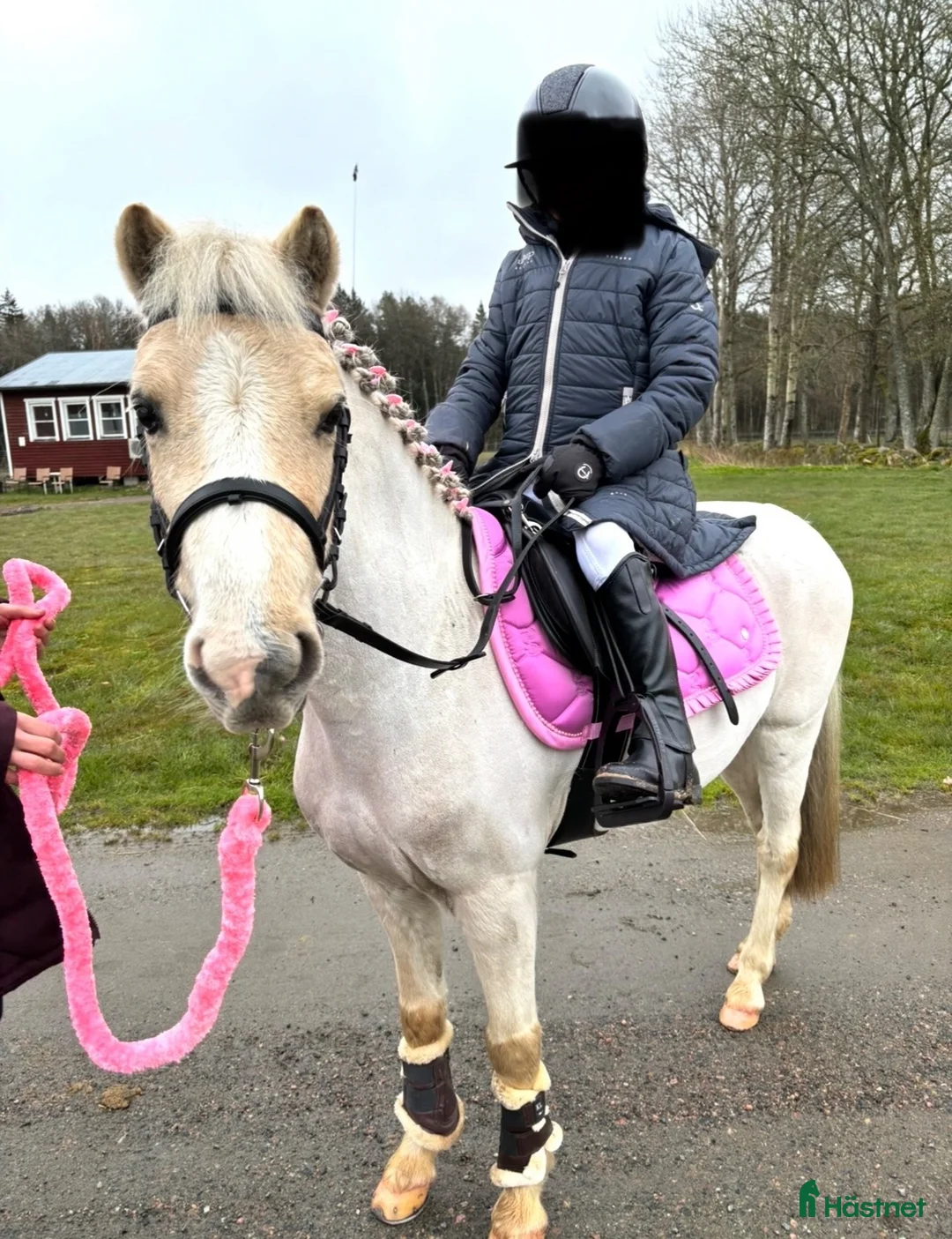 Allround hästar till salu: Sötaste lilla ponnyn  - Annons 1