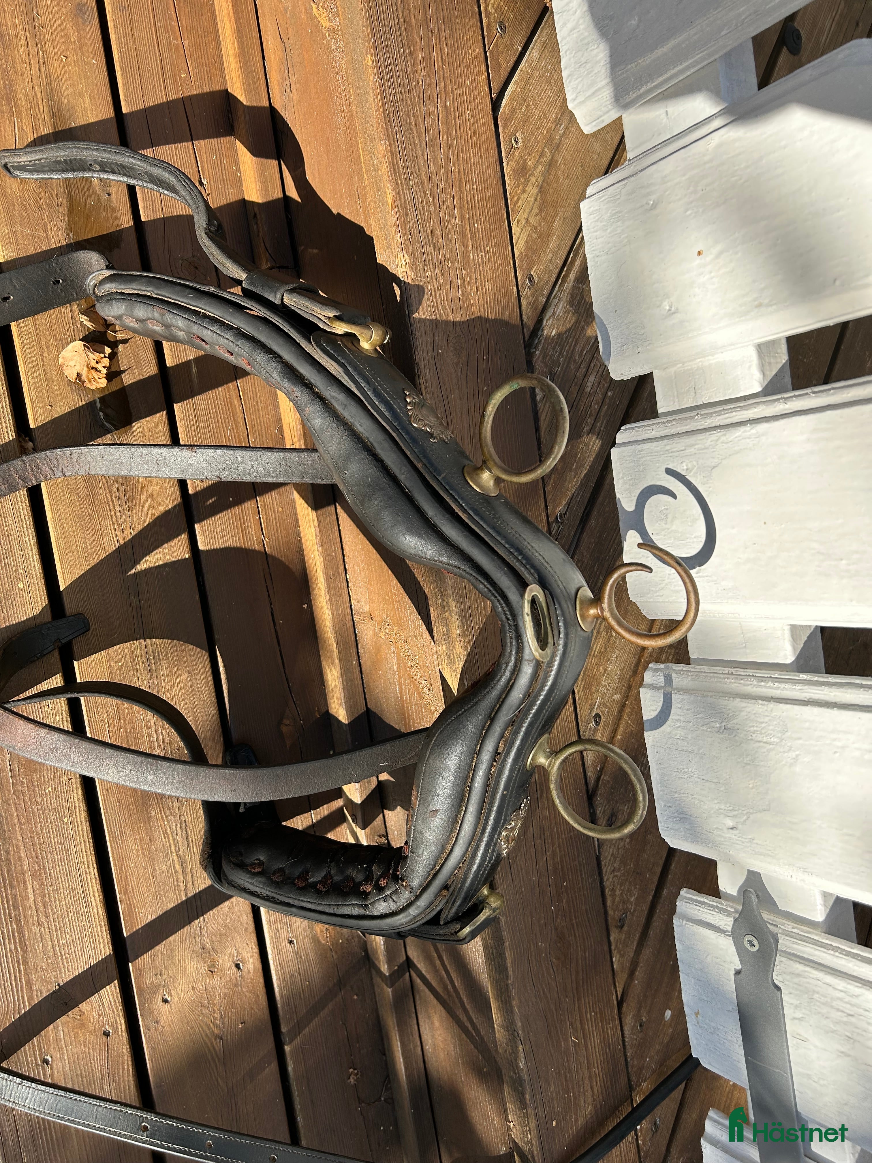 Körselar körning till salu: Extra fin däckel med svanskappa i Karlstad - Annons 8